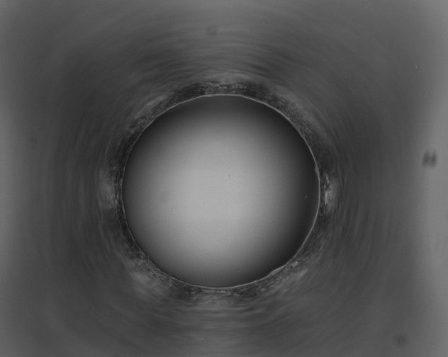 X0000096710819200802121223