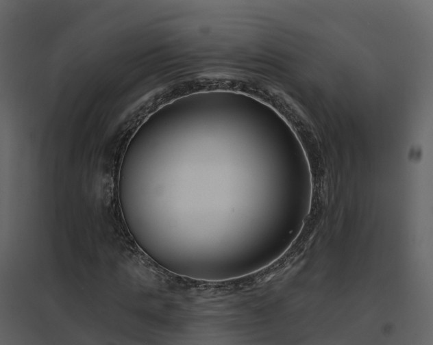 X0000096710821200802121223