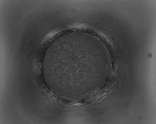 X0000096710822200802121223