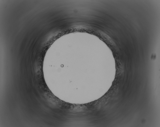 X0000096710824200802121223