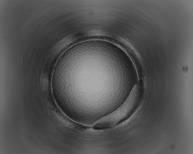 X0000096710825200802121223