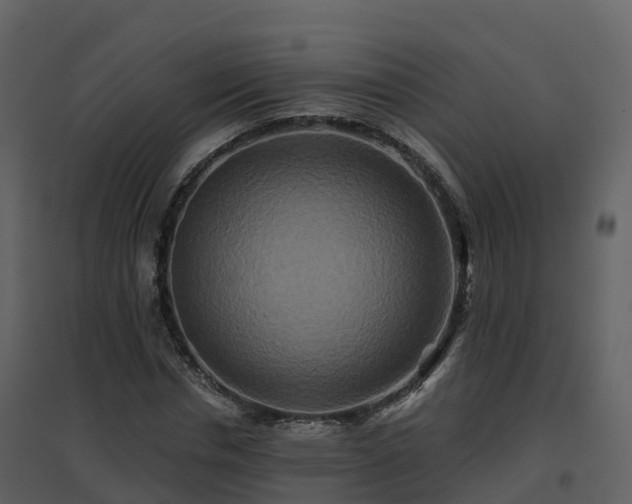 X0000096710826200802121223