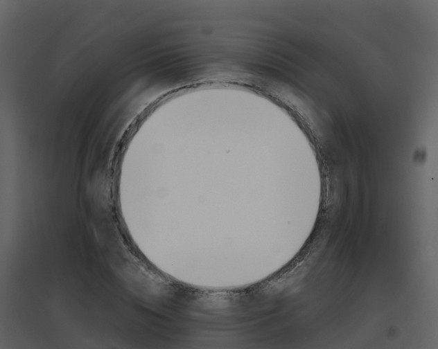 X0000096710828200802121223