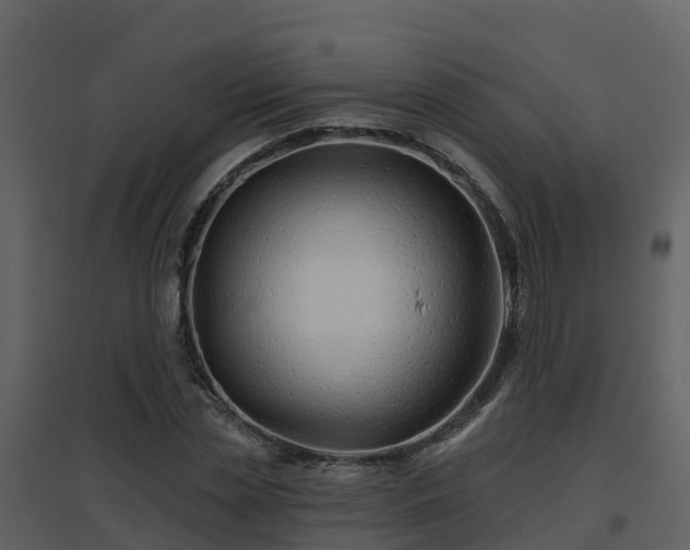 X0000096710829200802121223