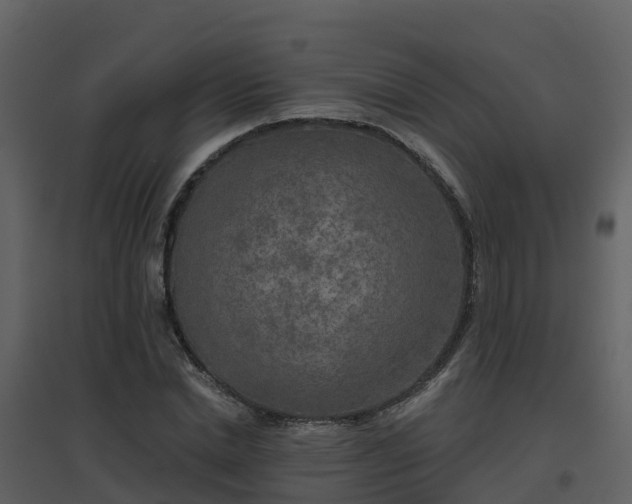 X0000096710830200802121223