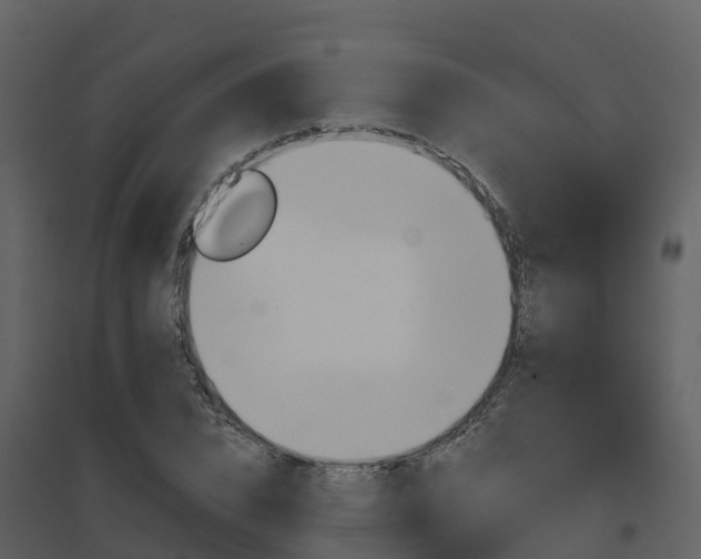 X0000096710832200802121223