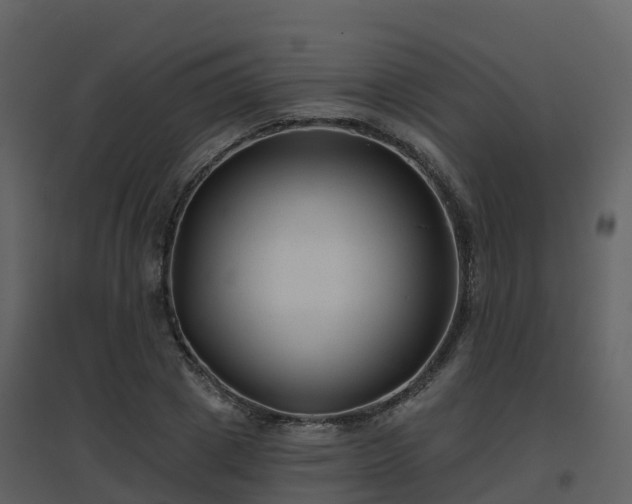 X0000096710833200802121223