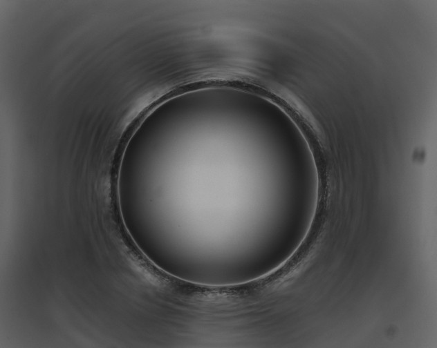 X0000096710834200802121223