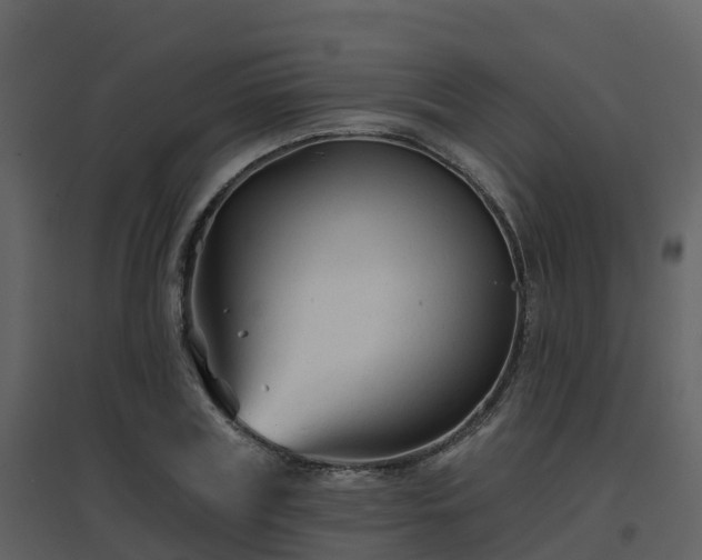 X0000096710835200802121223