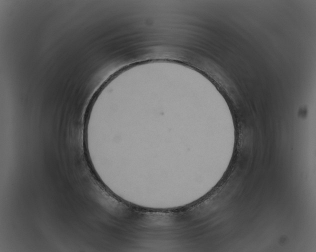 X0000096710836200802121223