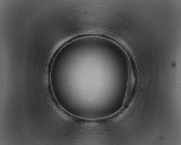 X0000096710838200802121223