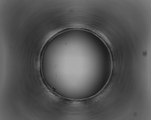 X0000096710839200802121223