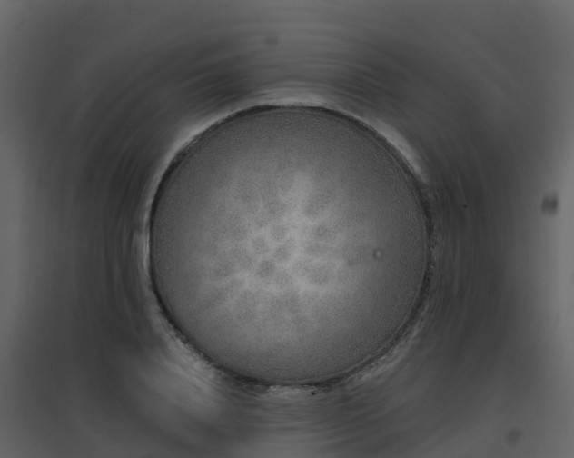 X0000096710840200802121223