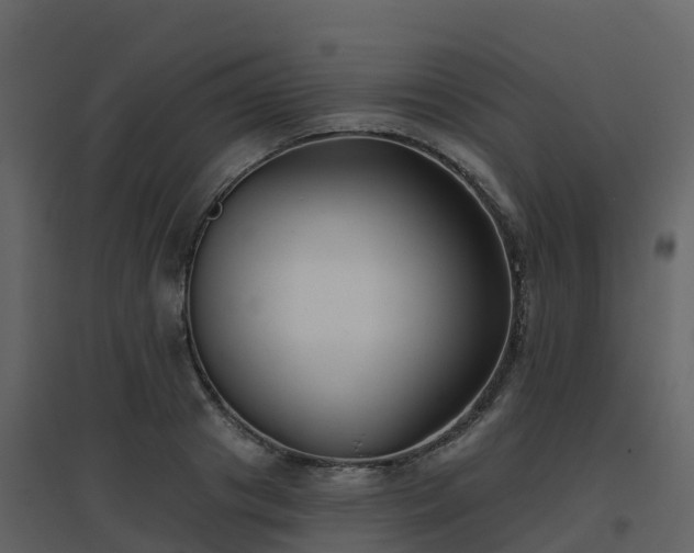 X0000096710841200802121223