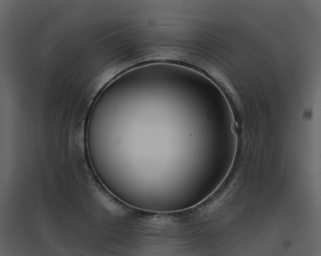 X0000096710842200802121223