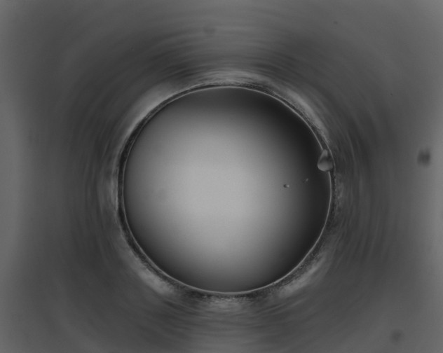 X0000096710843200802121223