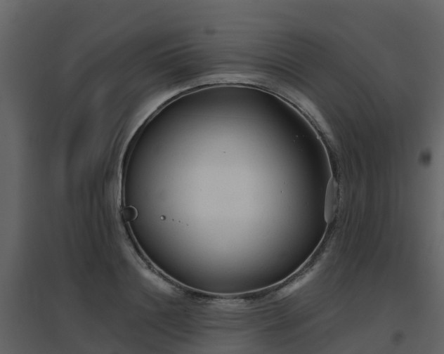 X0000096710844200802121223