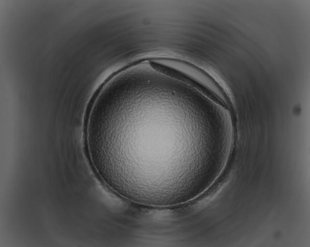 X0000096710845200802121223