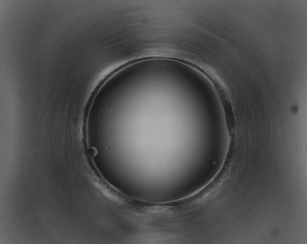 X0000096710846200802121223