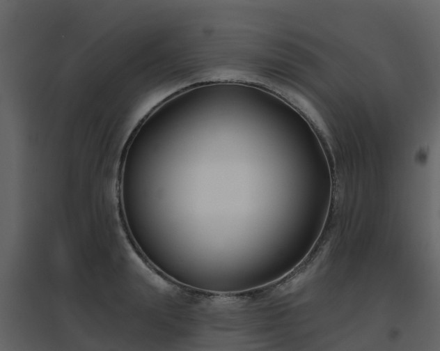 X0000096710847200802121223