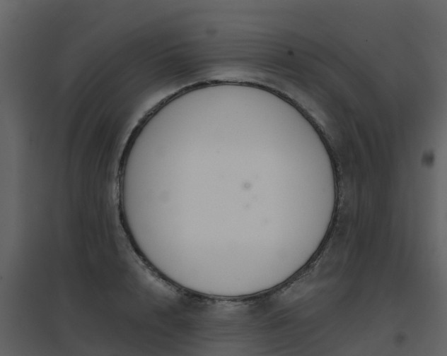 X0000096710848200802121223