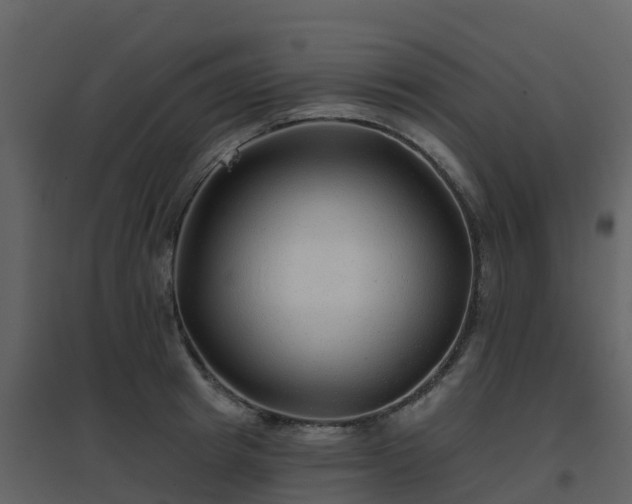 X0000096710849200802121223