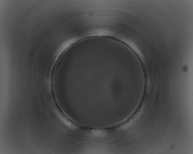 X0000096710850200802121223