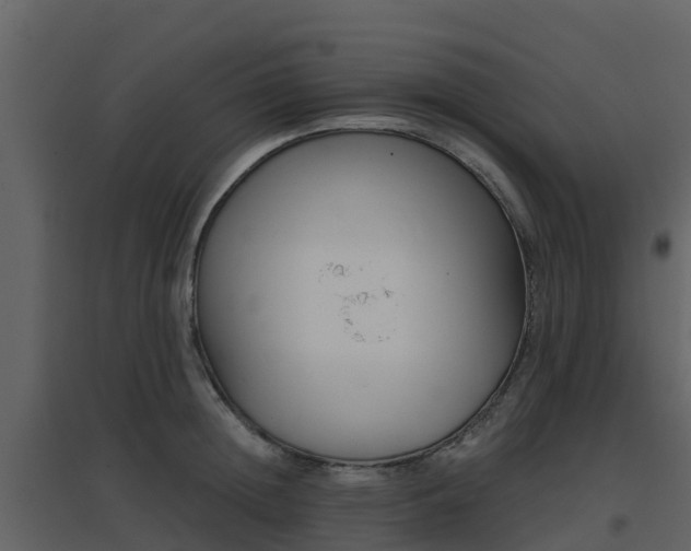 X0000096710852200802121223