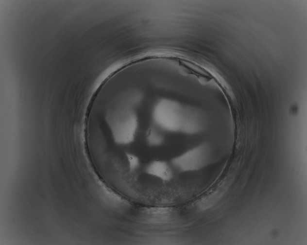 X0000096710853200802121224