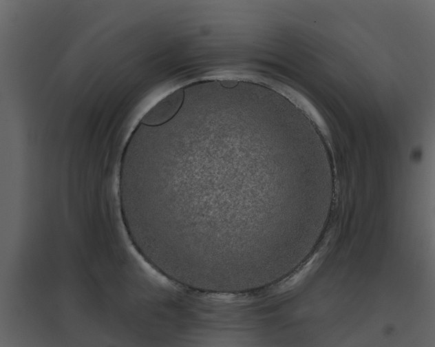 X0000096710855200802121224