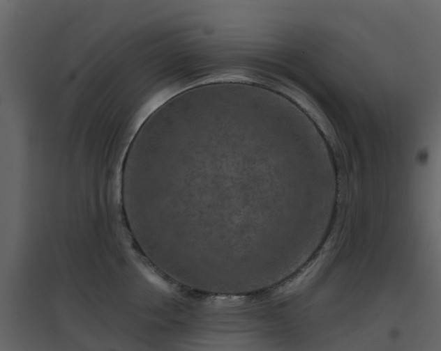 X0000096710858200802121224