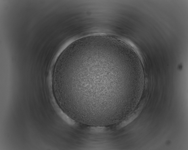 X0000096710859200802121224