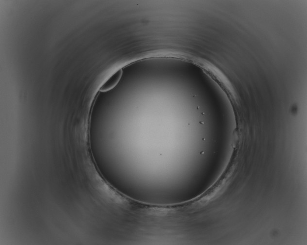 X0000096710860200802121224