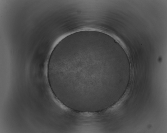 X0000096710862200802121224