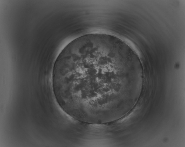 X0000096710863200802121224