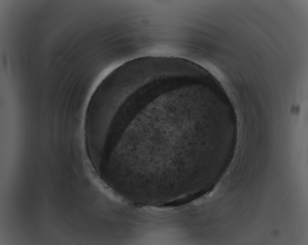 X0000096710864200802121224