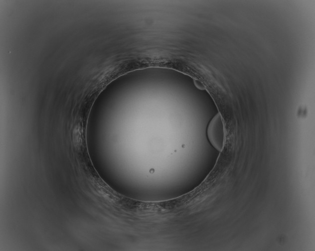 X0000096710866200802121223