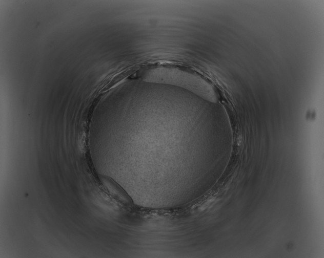 X0000096710868200802121223