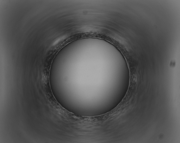 X0000096710869200802121223