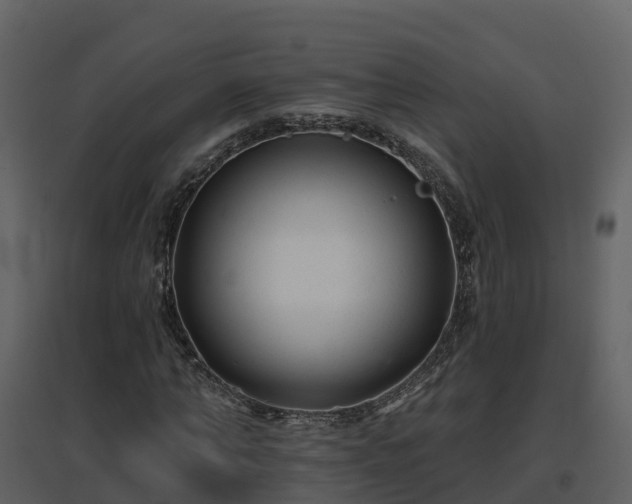 X0000096710870200802121223