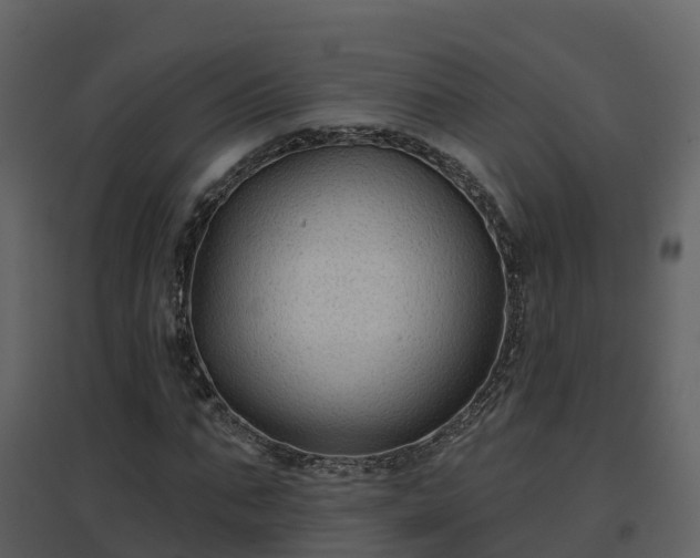 X0000096710871200802121223