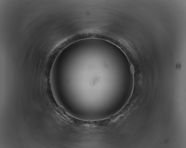 X0000096710872200802121223