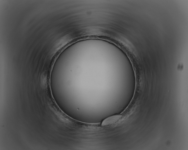 X0000096710873200802121223