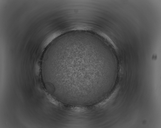 X0000096710874200802121223