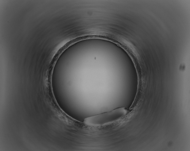 X0000096710875200802121223