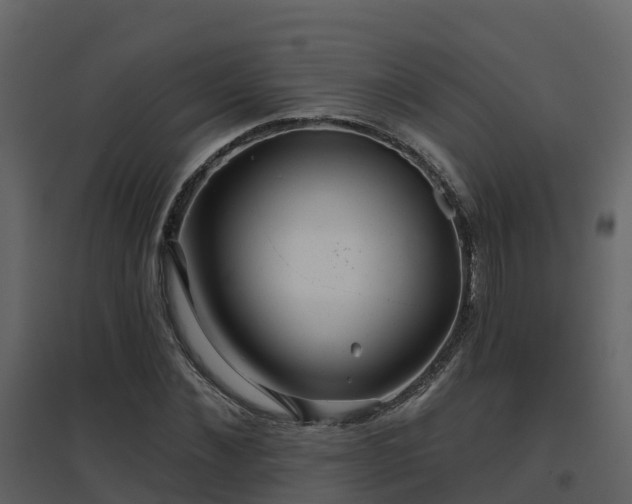 X0000096710876200802121223