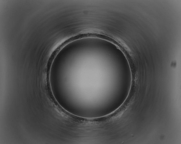 X0000096710877200802121223