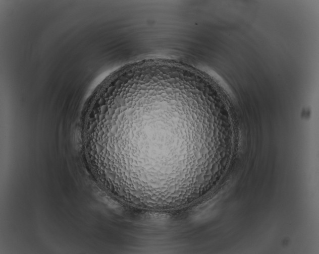 X0000096710878200802121223