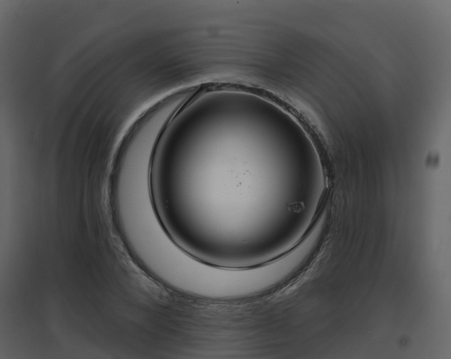 X0000096710880200802121223