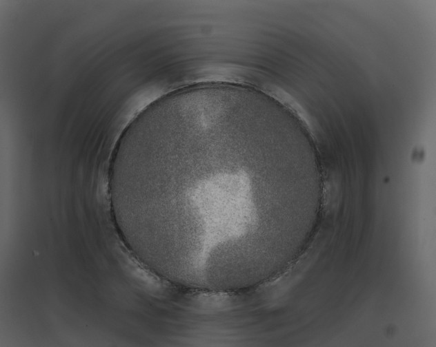 X0000096710882200802121223